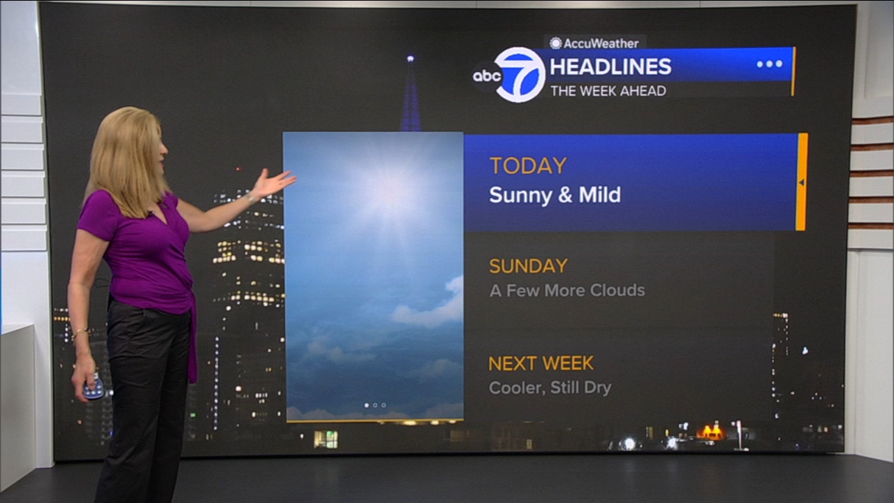 AccuWeather Forecast: Sunny and mild
       — ABC 7 Bay Area, Irving Community news