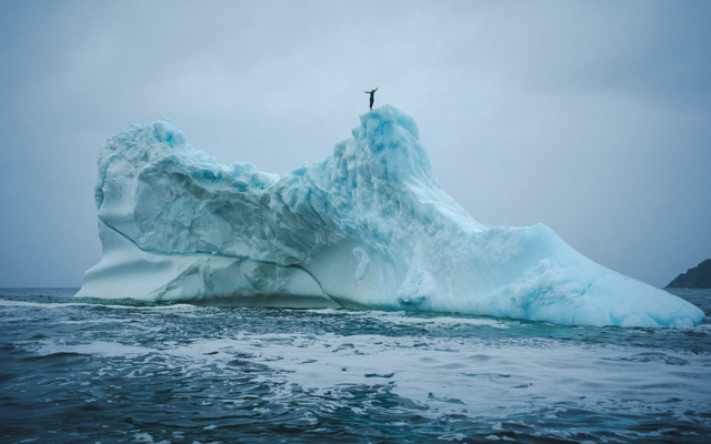Cliff diver Molly Carson makes history, becomes first woman to dive off iceberg — WPBF Sports Palm Beach, Irving Sports news